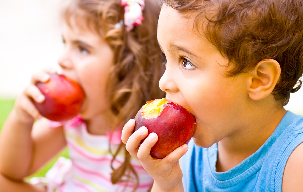 Especialista en Alimentación Sana: Niños y Adolescentes + Nutrición Infantil (Doble Titulación con 5 Créditos ECTS)- RedEduca