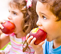 Experto en Nutrición y Obesidad Infantil para Técnico Superior en Educación Infantil (Curso Homologado y Baremable en Oposiciones para Técnico Superior en Educación Infantil + 5 Créditos ECTS)- RedEduca