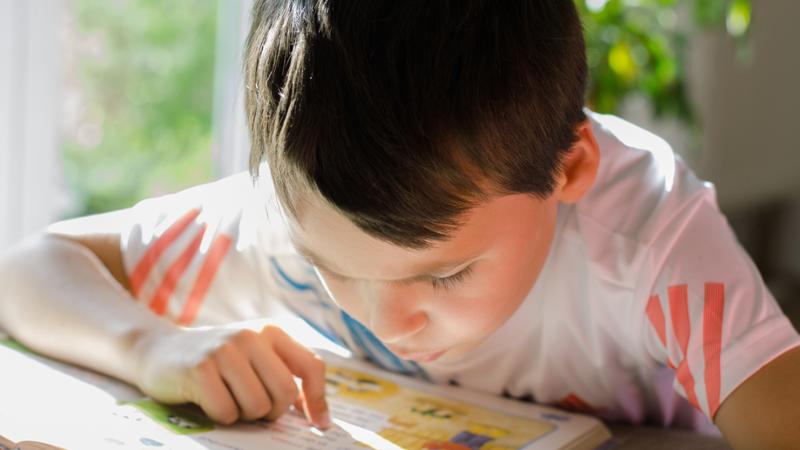 Curso de Estimulación Multisensorial en el Aula + Intervención Psicoeducativa en Autismo (Doble Titulación + 10 Créditos ECTS)- RedEduca