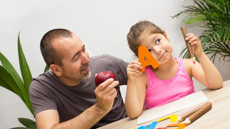 Experto en Desarrollo Cognitivo en Educación para Maestros de Pedagogía Terapéutica (Curso Homologado y Baremable en Oposiciones de Magisterio de Pedagogía Terapéutica + 5 Créditos ECTS)- RedEduca