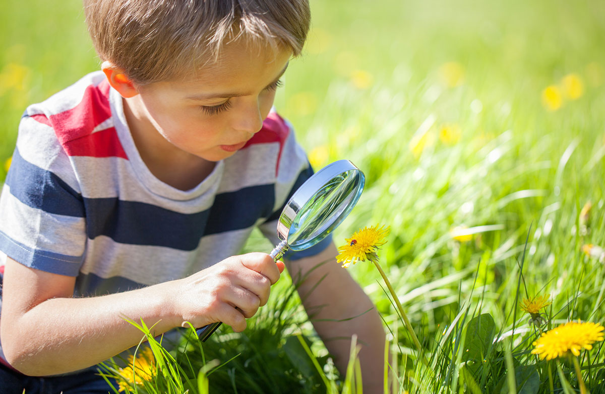 Experto en Educación Ambiental para Maestros de Educación Primaria (Curso Homologado y Baremable en Oposiciones de Magisterio de Primaria + 5 Créditos ECTS)- RedEduca