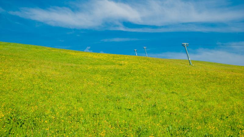 Curso de Monitor de Medio Ambiente y Gestión Ambiental + Monitor de Interpretación del Medio Ambiente (Doble Titulación con 5 Créditos ECTS)- RedEduca