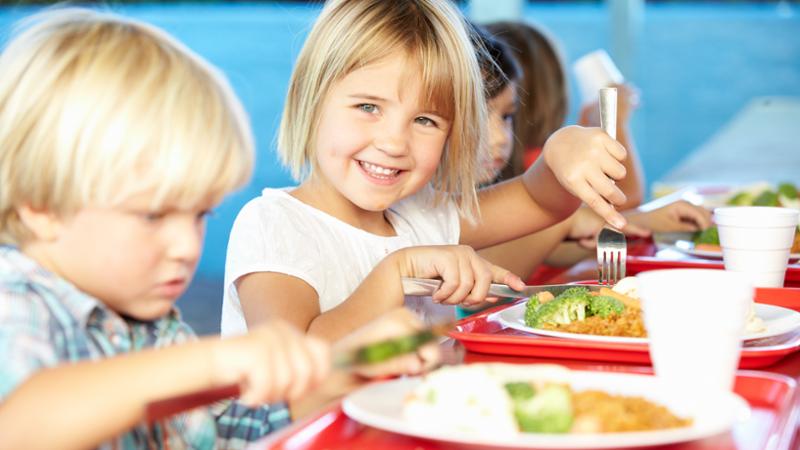 Técnico en Nutrición Infantil para Comedores Escolares y Guarderías Infantiles (Doble Titulación con 5 Créditos ECTS)- RedEduca