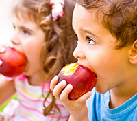 Técnico Profesional en Nutrición Infantil (Doble Titulación Universitaria con 5 Créditos ECTS)- RedEduca